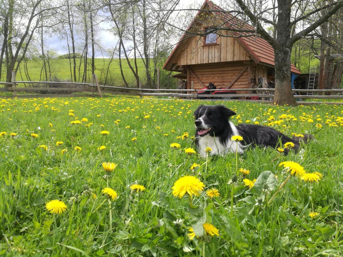 Holiday Home Holiday Raj Bešeňová Exteriör bild